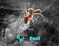 711 Spider Control Hobart image 2